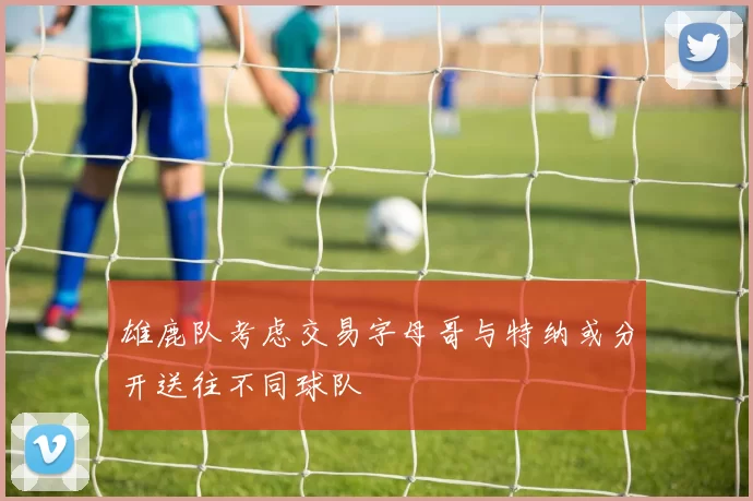 雄鹿队考虑交易字母哥与特纳或分开送往不同球队