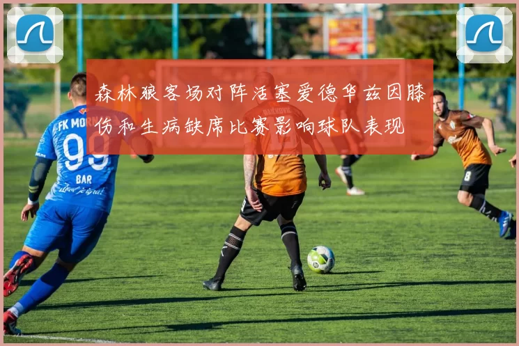 森林狼客场对阵活塞爱德华兹因膝伤和生病缺席比赛影响球队表现